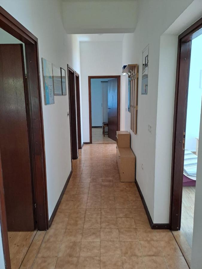 Apartments Berny Sveti Vid-Miholjice エクステリア 写真